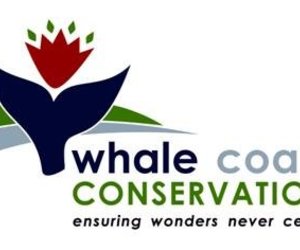 Abagold Wave Energy Converter Project