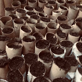 Growing Process -Valley Food Gardens - Xplorio™ Greyton