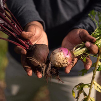 Valley Food Gardens - Xplorio™ Greyton