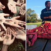 Community Upliftment - Valley Food Gardens - Xplorio™ Greyton