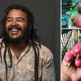 Project Leader - Valley Food Gardens - Xplorio™ Greyton