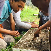 Young Growers - Valley Food Gardens - Xplorio™ Greyton