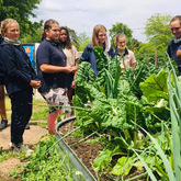 School Feeding Schemes - Valley Food Gardens - Xplorio™ Greyton