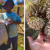 Vegetable Gardens Resources - Valley Food Gardens - Xplorio™ Greyton