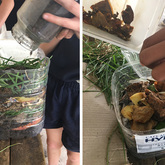 Making Manure - Valley Food Gardens - Xplorio™ Greyton