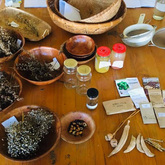 Support Packs To Members - Valley Food Gardens - Xplorio™ Greyton