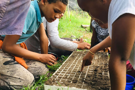 Food Valley Gardens - The Future Of Sustainable Gardening Is Here!