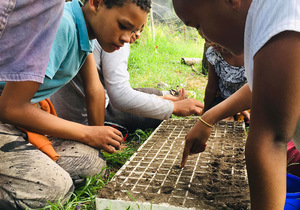 Food Valley Gardens - The Future Of Sustainable Gardening Is Here!