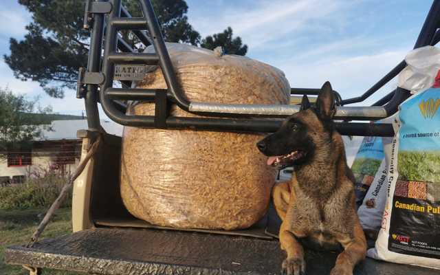 WhatsApp_Image_2022_05_05_at_5.32.44_AM_1651731419