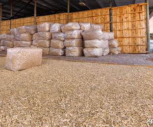 Aged Pine Offcuts for Equestrian Stables and Chicken Farms!