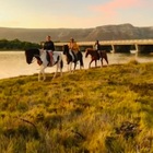 Horse Riding in Gansbaai
