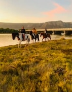 Horse Riding in Gansbaai