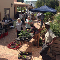 Local Market - RAW - Xplorio™ Greyton