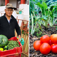 Fresh Tomatoes - RAW - Xplorio™ Greyton