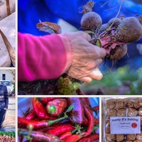 Local Produce - RAW - Xplorio™ Greyton