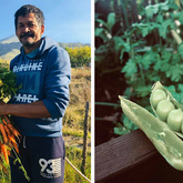 Organic Produce - RAW - Xplorio™ Greyton