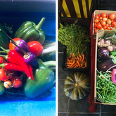 Veggie Boxes - RAW - Xplorio™ Greyton