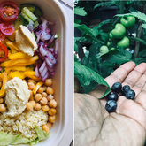 Healthy Diet - RAW - Xplorio™ Greyton