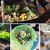 Fresh Organic Produce - RAW - Xplorio™ Greyton