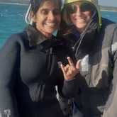 Shark Cage Diving - White Shark Projects - Xplorio™ Gansbaai