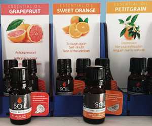SOiL Essential Oils for Winter
