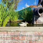 Garden - Café Stanford - Xplorio™ Stanford