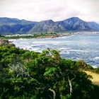 Roman Rock, Hermanus - Busy Kitchen - Xplorio™ Hermanus Roman Rock, Hermanus - Busy Kitchen - Xplorio™ Hermanus