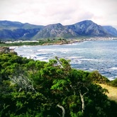 Roman Rock, Hermanus - Busy Kitchen - Xplorio™ Hermanus