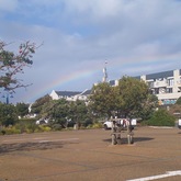 Hermanus Central - Busy Kitchen - Xplorio™ Hermanus