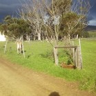 Mom and Newborn, Karwyderskraal, Hermanus - Busy Kitchen - Xplorio™ Hermanus Mom and Newborn, Karwyderskraal, Hermanus - Busy Kitchen - Xplorio™ Hermanus