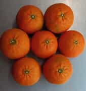 Naartjies for ONLY R6.90/kg