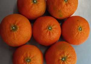 Naartjies for ONLY R6.90/kg