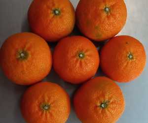 Naartjies for ONLY R6.90/kg