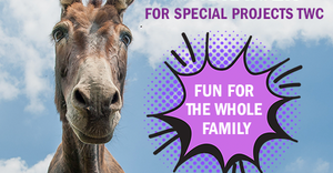 Donkey Derby Fundraiser