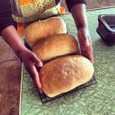 Fresh Bread - Van Brakel Stoor - Xplorio™ Caledon