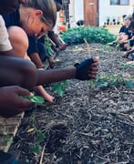 Valley Food Gardens - Enrichment Classes