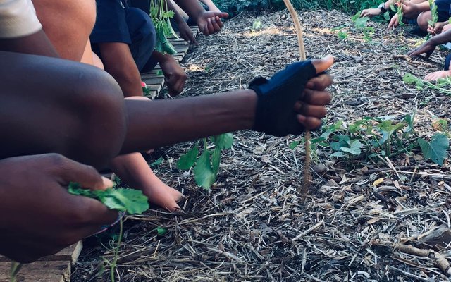 planting in garden - Valley Food Gardens - Xplorio™ Greyton