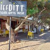 Store front - Liefditt Antiques - Xplorio™ Napier