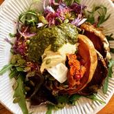 Salad - Maånskyñ - Xplorio™Greyton