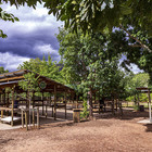 Saturday Market Place - Greyton Tourism - Xplorio™ Greyton