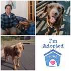 Adoption - Grabouw Animal Welfare Society - Xplorio™ Grabouw