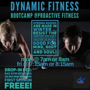 Dynamic Fitness Bootcamp at PROactive Fitness