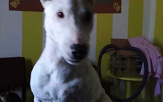 WhatsApp_Image_2022_05_19_at_9.09.36_AM_1_1652949862