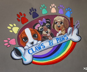 Hair and Beauty Salon for Pets