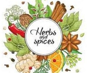 Let's Talk Herbs and Spices