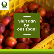 Sluit Aan By Ons Span!