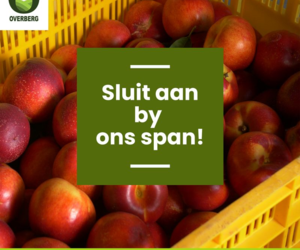 Sluit Aan By Ons Span!