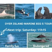 Next Dyer Island Marine Big 5 Tour: 21 May 2022