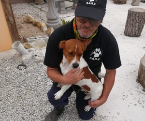 Max is ready to be adopted!