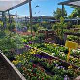 Flowers - Riverland Garden Centre - Xplorio™ Stanford